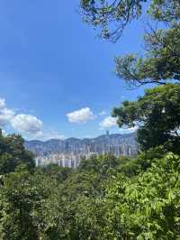 新手適宜行山路線！