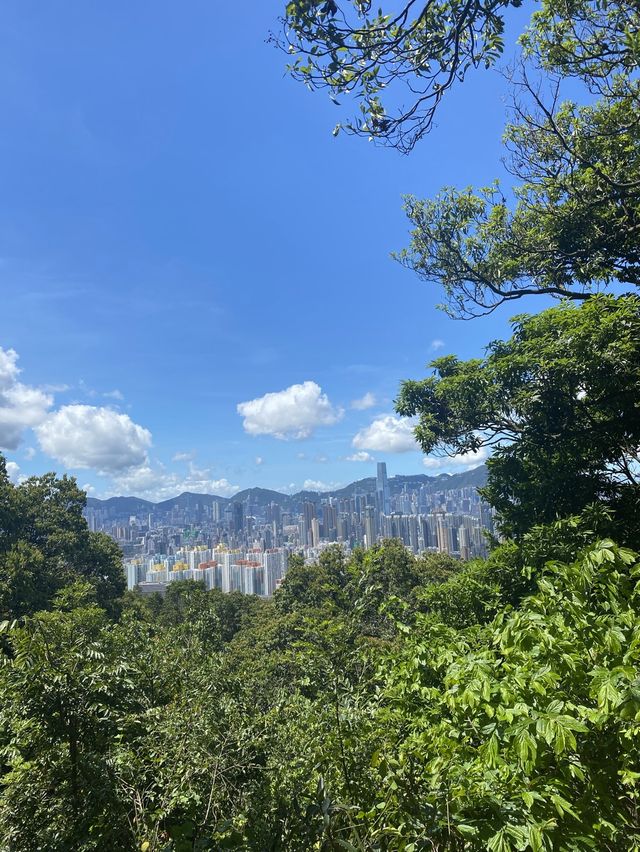 新手適宜行山路線！