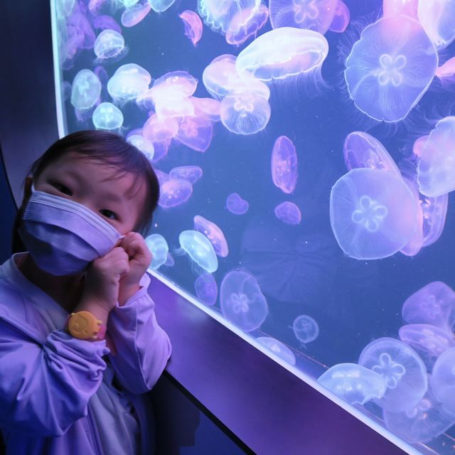 遙不可及的海洋世界 ～ 探遊館