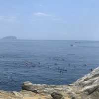 深澳象鼻岩-鎮守北方的海中巨象🐘