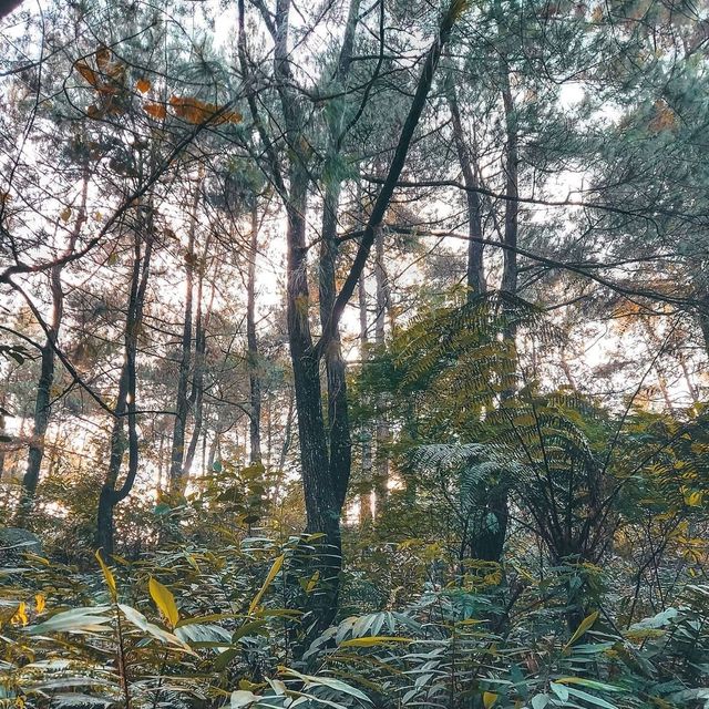 LEUWI BALONG ENDAH - BOGOR
