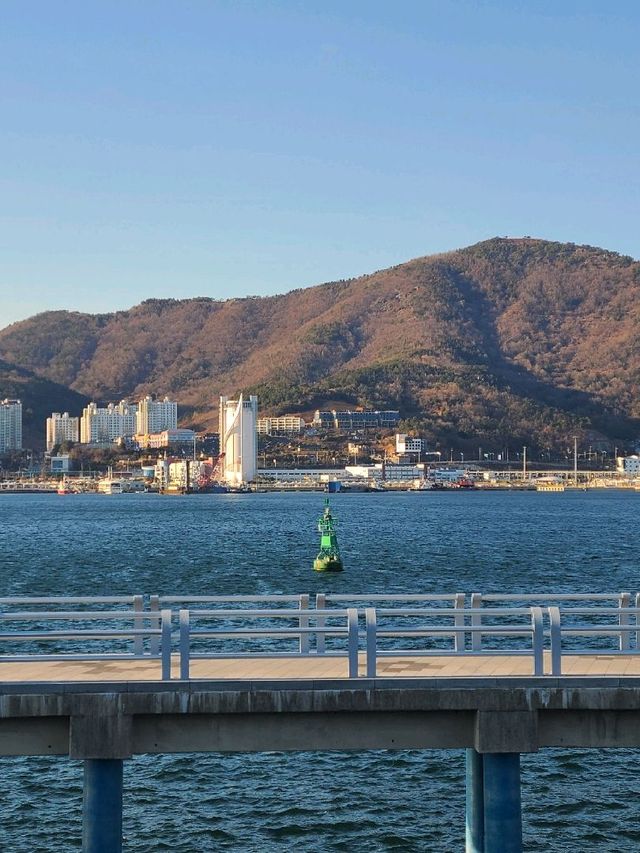 [여수] 동백열차 타고 오동도 한바퀴