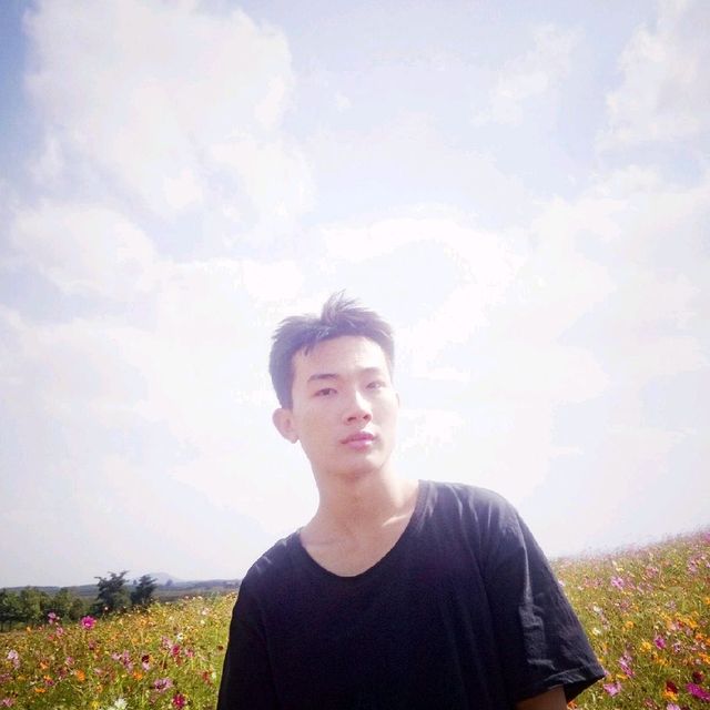 ทุ่งคอสมอส และเก๊กฮวยหน้าหนาว