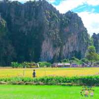 คาเฟ่ที่น่ามาที่สุดในเนินมะปราง