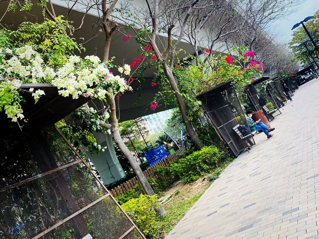 讓身心在鬧市中完全停下來