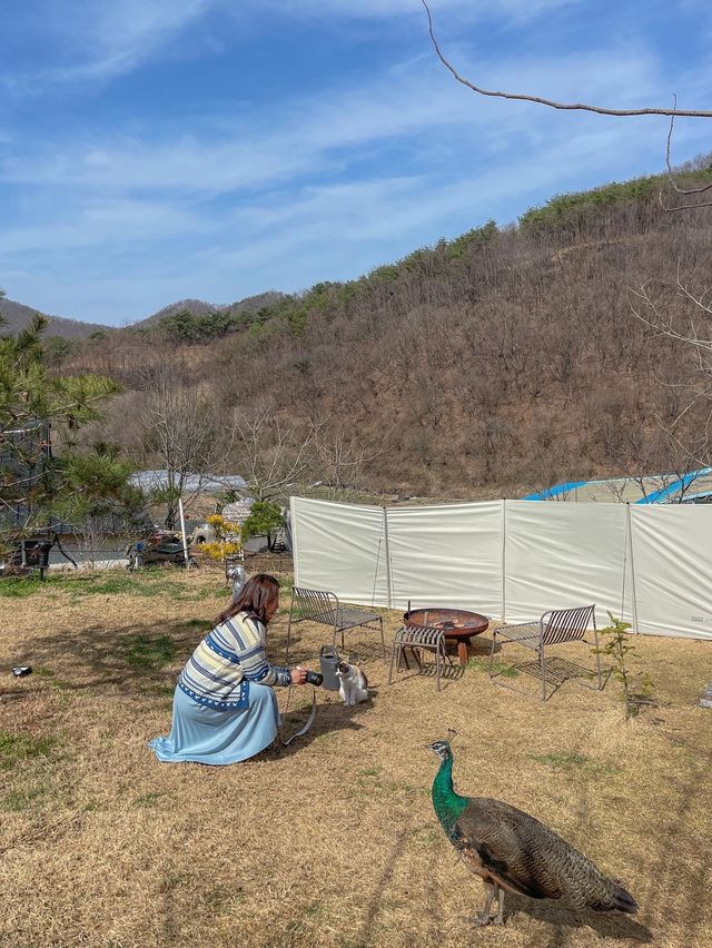 산골 감성 가득한 스테이소꿉