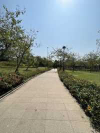 荔枝角公園放電 影相打卡 好去處🥰