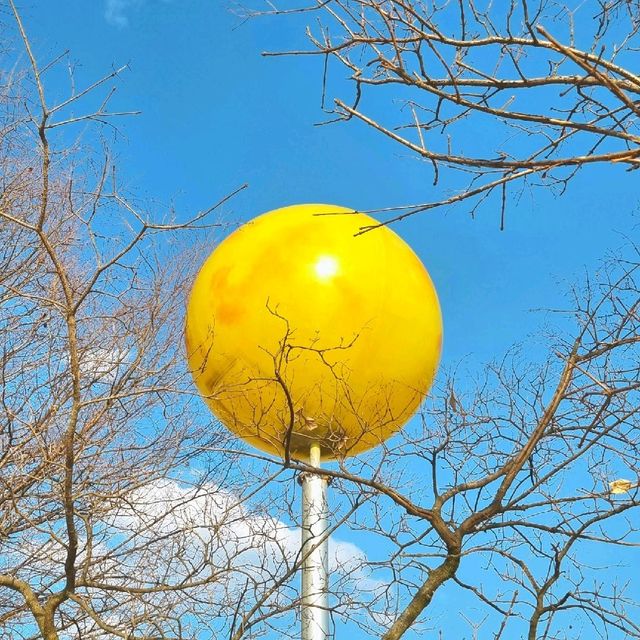 🌕 안동 월영교 달 포토존 카페 [월영당]
