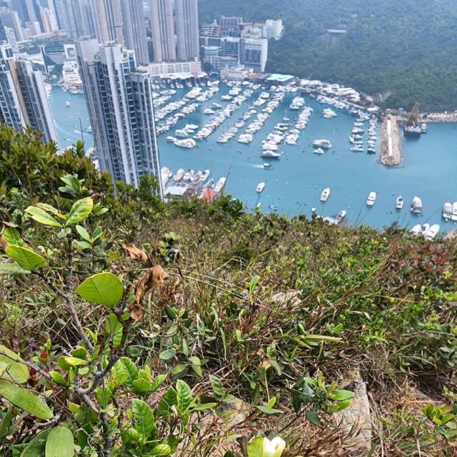 玉桂山