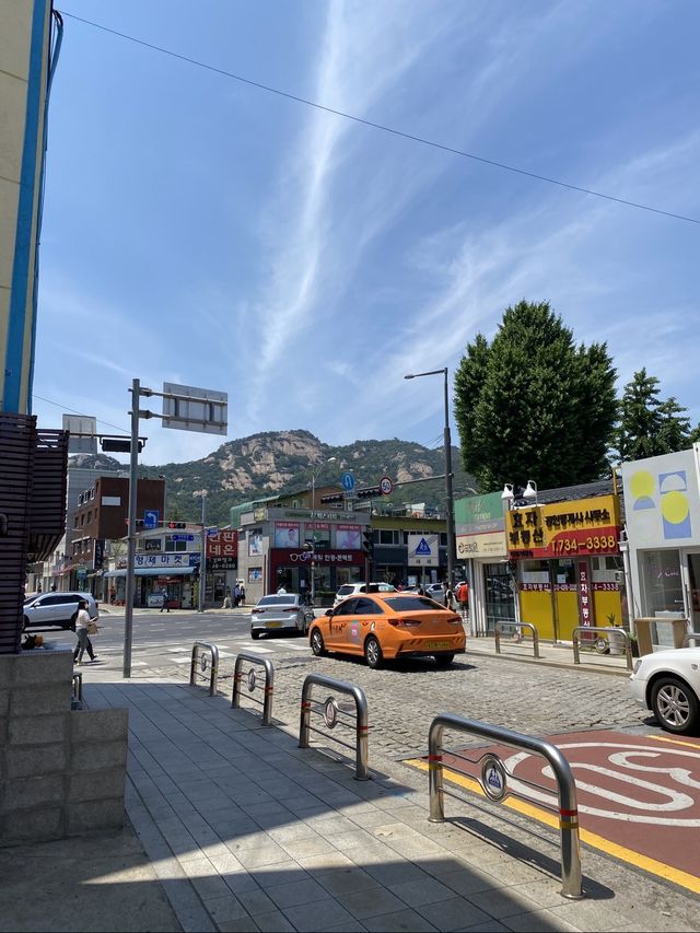 봄바람 맞으며 경복궁 돌담길🌸