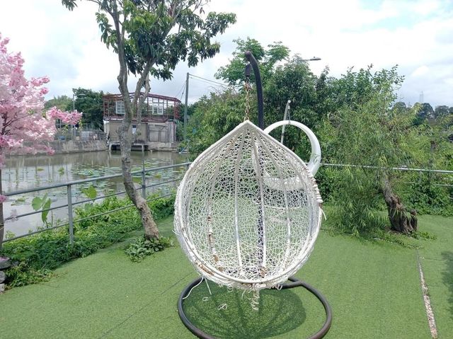 信芯園甜蜜打卡位