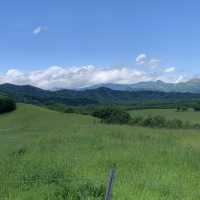 広大な大地が一望😄八千代牧場で北海道ビュー満喫👍