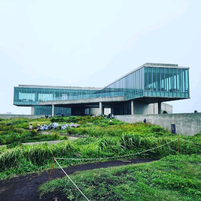 🏨 섭지코지를 품은 리조트, 휘닉스 제주