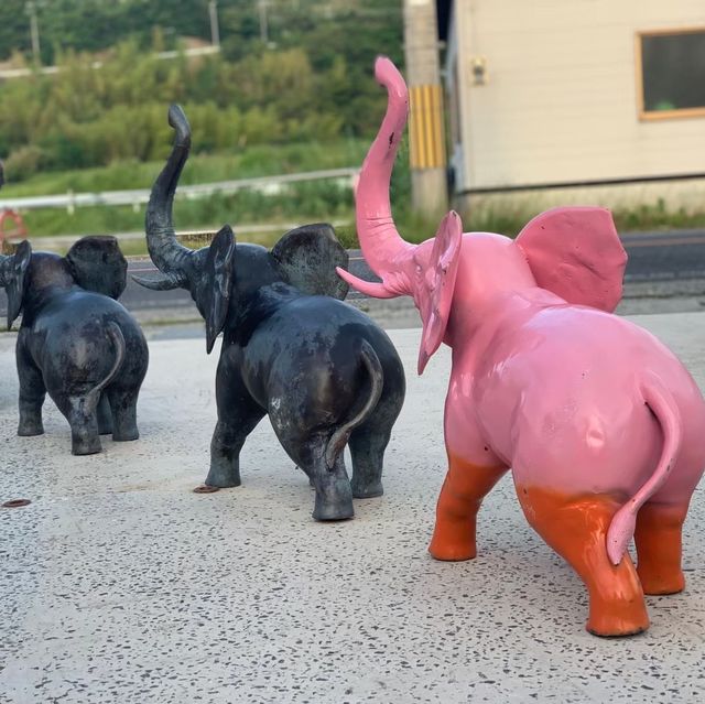 【兵庫県】絶景の海を見ながらカフェタイム