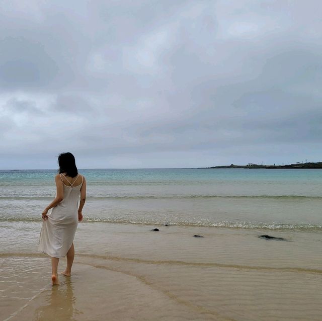 제주 우도 하고수동해수욕장 에메랄드처럼 투명한 곳 💙 제주 우도 하고수동해수욕장 에메랄드처럼 투명한 곳 💙