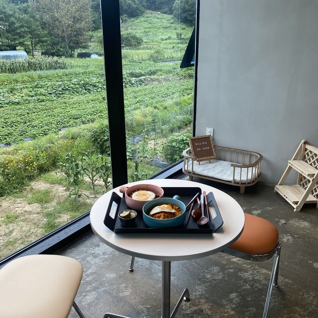 도심속 숲캉스를 느낄 수 있는 애견카페 ‘테일즈업’