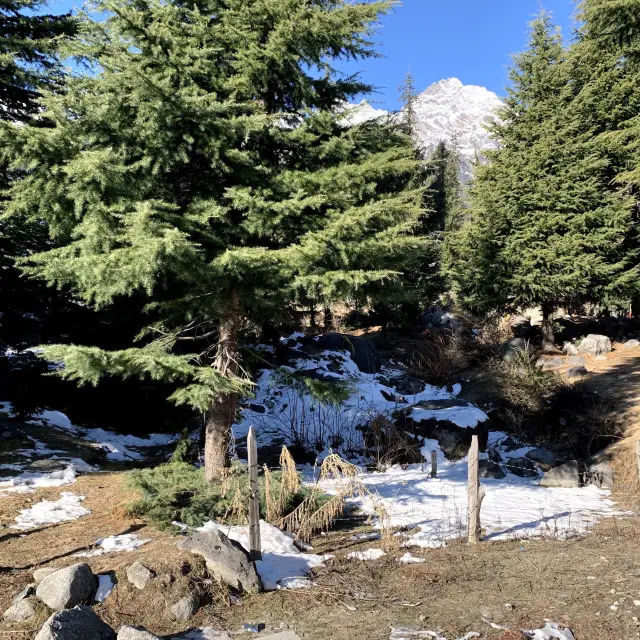 Manali Himachal Pradesh #snowfall