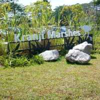 Serene Kranji Marshes
