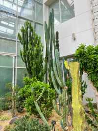 실내에서 즐기기 좋은 부천식물원🌵💚