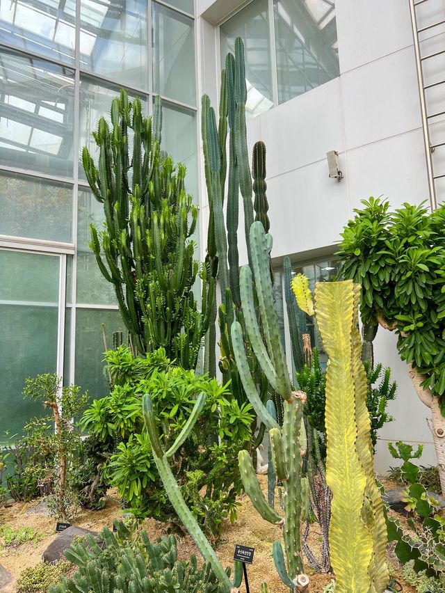 실내에서 즐기기 좋은 부천식물원🌵💚