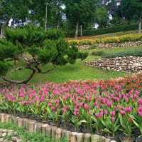 สวนแม่ฟ้าหลวง