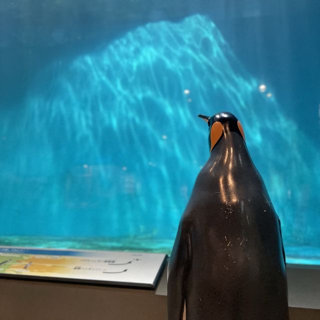 ただただ可愛いペンギンさん