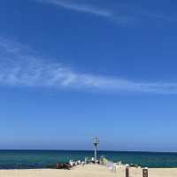 동해바다의 대표_ 강문해변⛱️