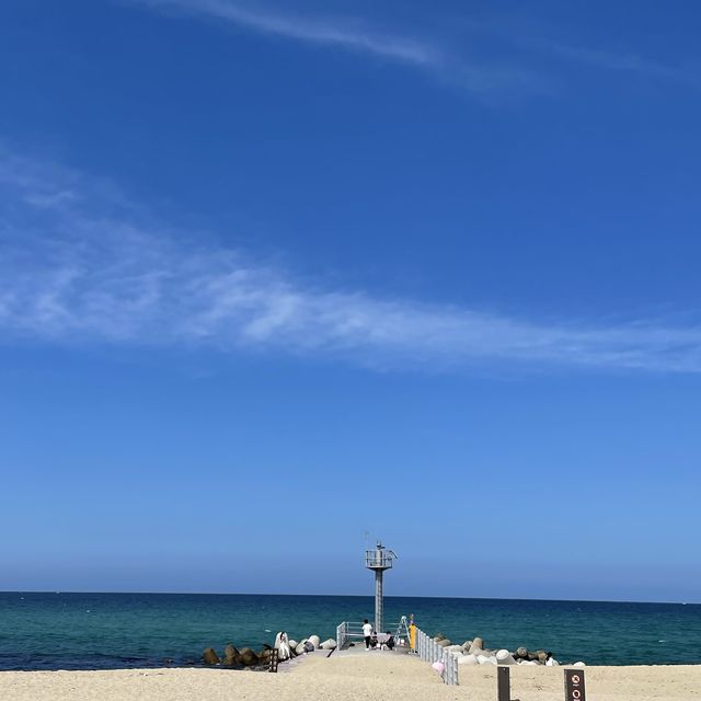 동해바다의 대표_ 강문해변⛱️