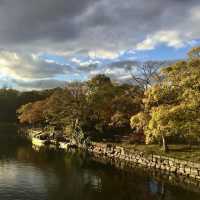 Osaka Castle in Japan