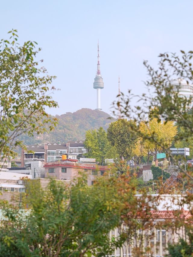 피크닉 전시 국내여행전 🥰