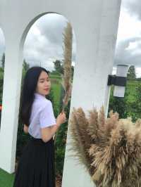 คาเฟ่แห่งความสุขที่ฟาร์มสุขคาเฟ่