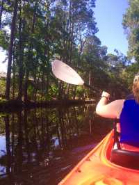 Palmetto Dunes Lagoon, South Carolina🌸🌺🛶