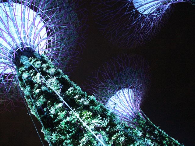 Gardens by the Bay