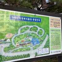 가야산 야생화 식물원에서 따뜻하게 꽃구경해요!