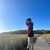 Princetown Wetlands Boardwalk