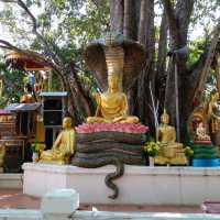 วัดดังในเชียงใหม่..วัดประจำปีมะเส็ง