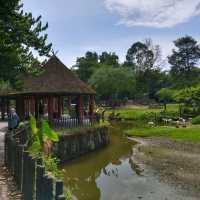 Zoo Taiping, a house of amazing animals.