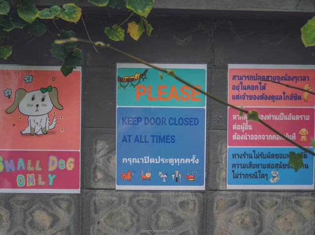 คาเฟ่ฟีลดีเหมือนนั่งเล่นบ้านเพื่อน