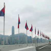 早上八點鐘，靜享海港城！無比嘆！！！