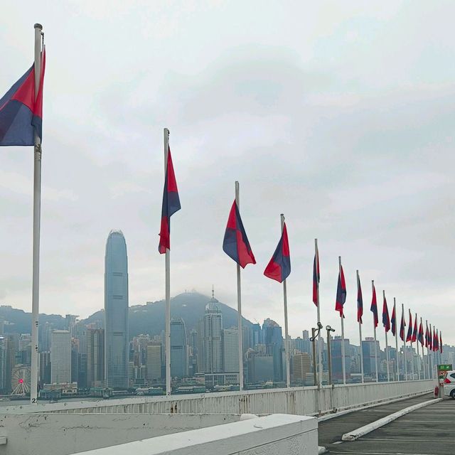 早上八點鐘，靜享海港城！無比嘆！！！