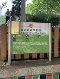 中國式設計的花園