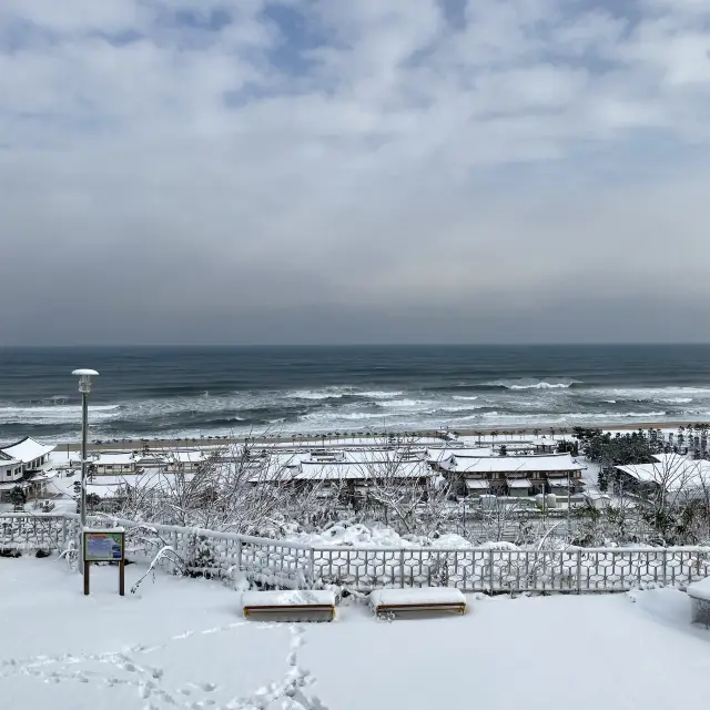 강원도ㅣ눈오는 날 동해 바다 여행은 어떨까? 망상해수욕장🌊