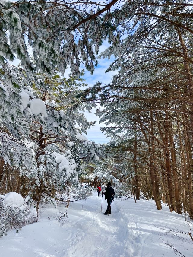 제주도 한라산은 하얗게 변했어요