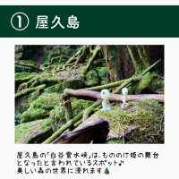【全国】まるでジブリな日本の島5選