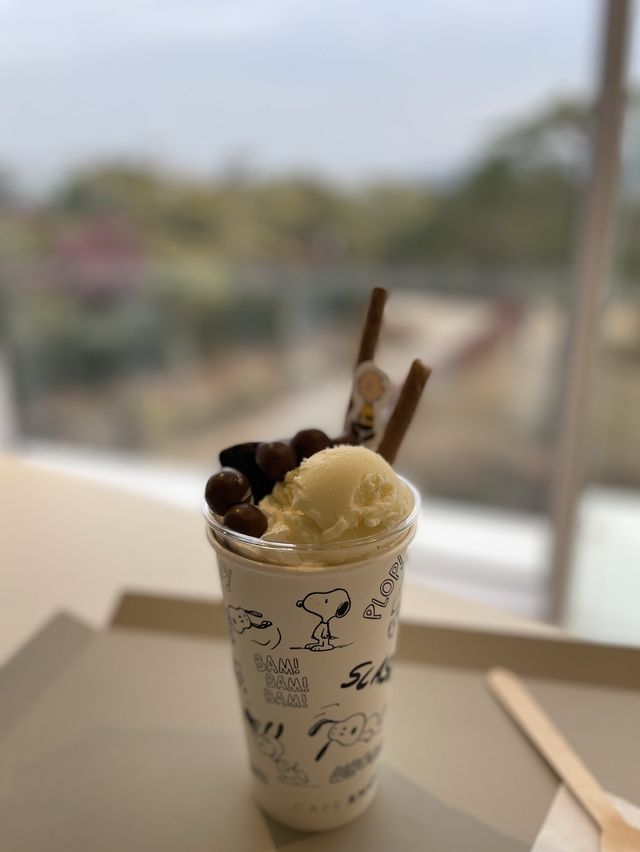 [서귀포 인생샷 명소] 스누피가든 🐶
