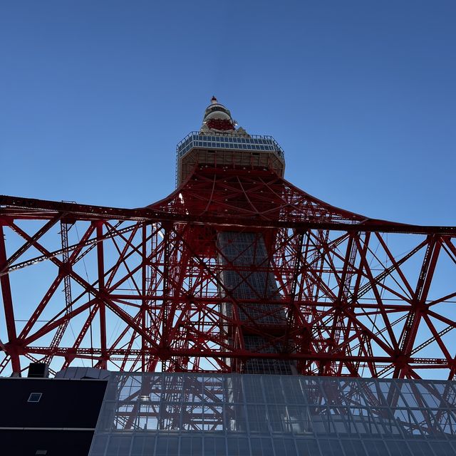 【東京】東京の観光名所といえば❗️の超有名観光スポット