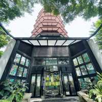 賞花攻略 元朗公園