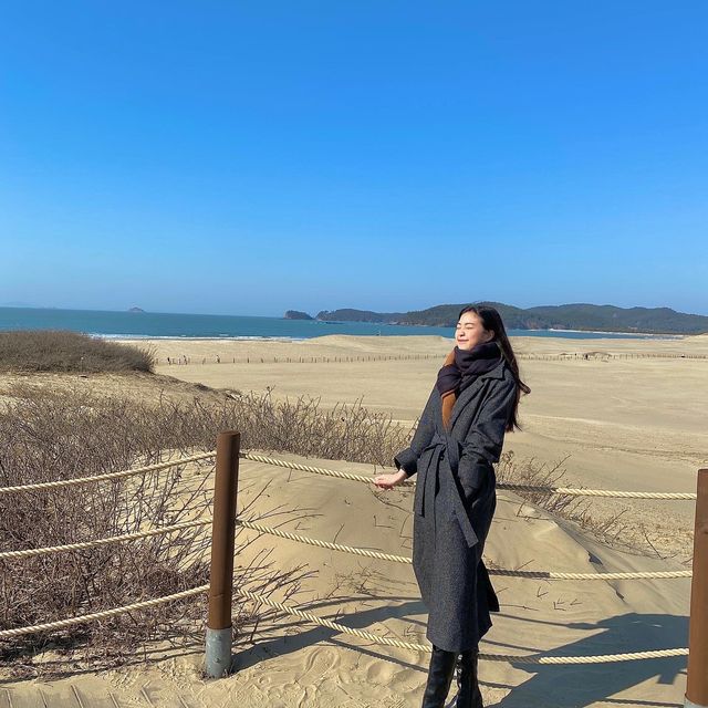한국에도 사막이 있다? 태안신두리해안사구🗿