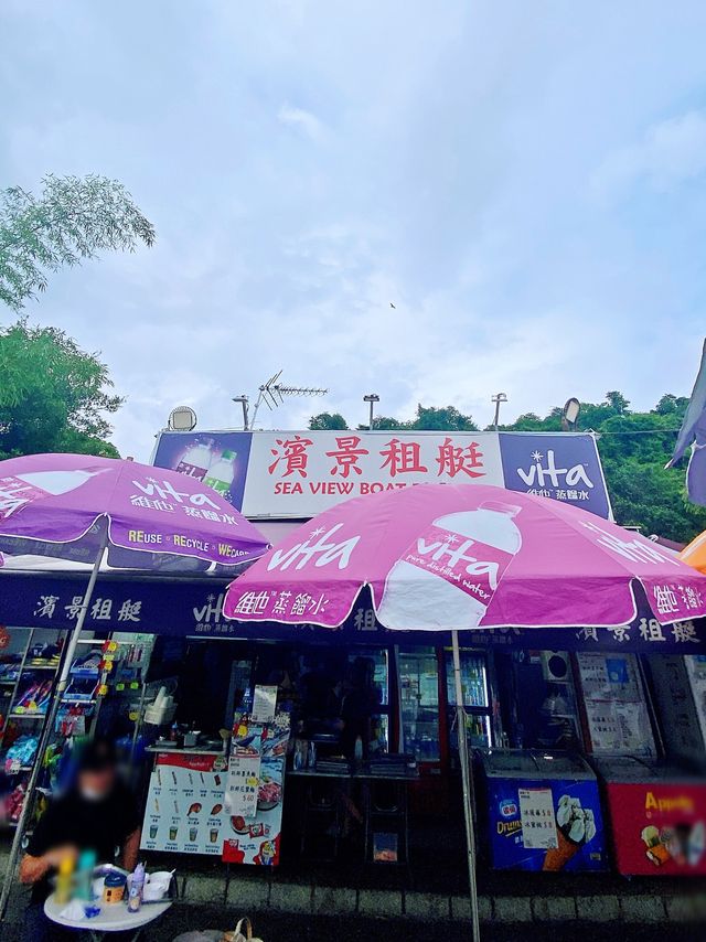 親子假日好去處 - 大尾督玩天鵝腳踏船