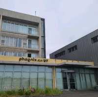휘닉스 제주 섭지 코지